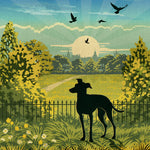 Whippet Or Greyhound In A Summer Park  - A Limited Edition Dog Print.