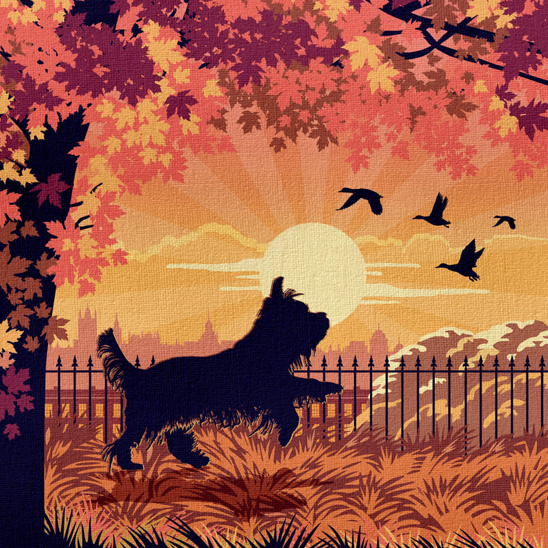 Yorkshire Terrier In An Autumn Park - A Limited Edition Dog Print